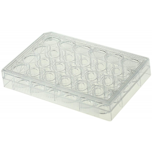 Nest Scientific 801001 Polystyrene//Glass Bottom Cell Culture Dish Sterile 20 mm Diameter 10 per Pack Tissue Culture Treated Pack of 200 200 per Case